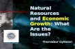 Natural Resources and  Economic Growth : What Are the Issues?