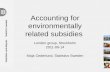 Accounting for environmentally related subsidies