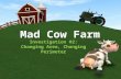 Mad Cow Farm