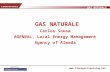 GAS NATURALE Carlos Sousa AGENEAL, Local Energy Management Agency of Almada