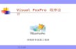 Visual FoxPro  程序设计