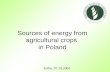 Sources of energy from agricultural crops  in Poland