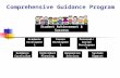 Comprehensive Guidance Program