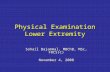 Physical Examination Lower Extremity