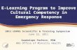 E-Learning Program to Improve Cultural Competency in Emergency Response