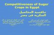 Competitiveness of Sugar Crops in Egypt