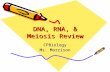 DNA, RNA, & Meiosis Review