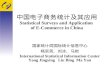 中国电子商务统计及其应用 Statistical Surveys and Application  of E-Commerce in China