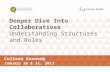 Deeper Dive Into  Collaboratives Understanding Structures and Roles