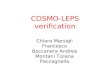 COSMO-LEPS verification