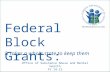 Federal Block Grants: