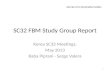 SC32  FBM  Study Group Report
