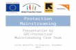 Protection Mainstreaming