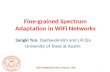 Fine-grained Spectrum Adaptation in  WiFi  Networks