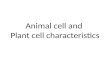 Animal cell and  Plant  cell characteristics
