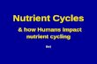 Nutrient Cycles & how Humans impact nutrient cycling
