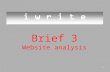 Brief 3 Website analysis