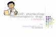 Block Ⅴ : pharmacology Chemotherapeutic drugs ( 化学治疗药物 )
