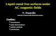 Liquid metal free surfaces under AC magnetic fields