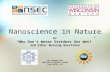 Nanoscience in Nature