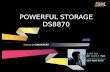 POWERFUL STORAGE DS8870