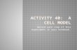 Activity 40:  A Cell Model
