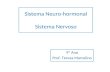 Sistema  Neuro-hormonal Sistema Nervoso