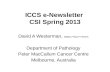 ICCS e-Newsletter  CSI Spring 2013
