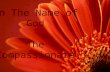 In The Name of God             The Compassionate                     The Merciful