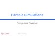 Particle Simulations