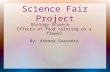 Science  Fair Project
