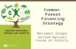 Common  Forest Financing Strategy