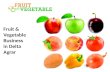 Fruit &  Vegetable  Business i n Delta Agrar