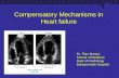 Compensatory Mechanisms in Heart failure