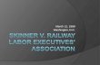 Skinner v. railway labor Executives' Association
