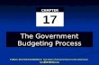 Government Budgeting Process