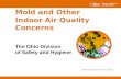 Mold and Other Indoor Air Quality Concerns
