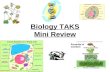 Biology TAKS Mini Review
