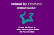 Animal By-Products presentation