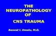 THE NEUROPATHOLOGY OF  CNS TRAUMA