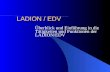 LADION / EDV