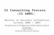 IS Consulting Process ( IS 6005 )