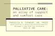 PALLIATIVE CARE:  an array of support and comfort care