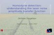 Homodyne detection: understanding the laser noise amplitude transfer function