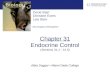 Chapter 31 Endocrine Control (Sections 31.1 - 31.5)