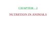 CHAPTER - 2 NUTRITION IN ANIMALS
