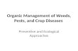 Organic Management of Weeds, Pests, and Crop Diseases