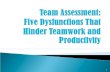 Team Assessment: Five Dysfunctions That Hinder Teamwork and Productivity