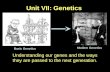 Unit VII: Genetics