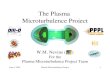 The Plasma  Microturbulence Project